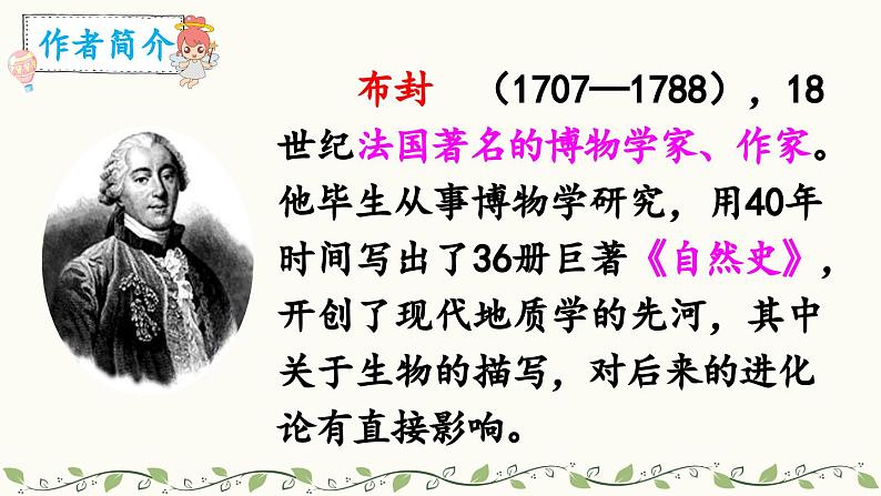 《松鼠》教学课件2（第一课时）第2页