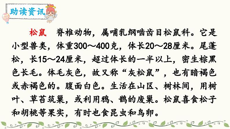 《松鼠》教学课件2（第一课时）第3页