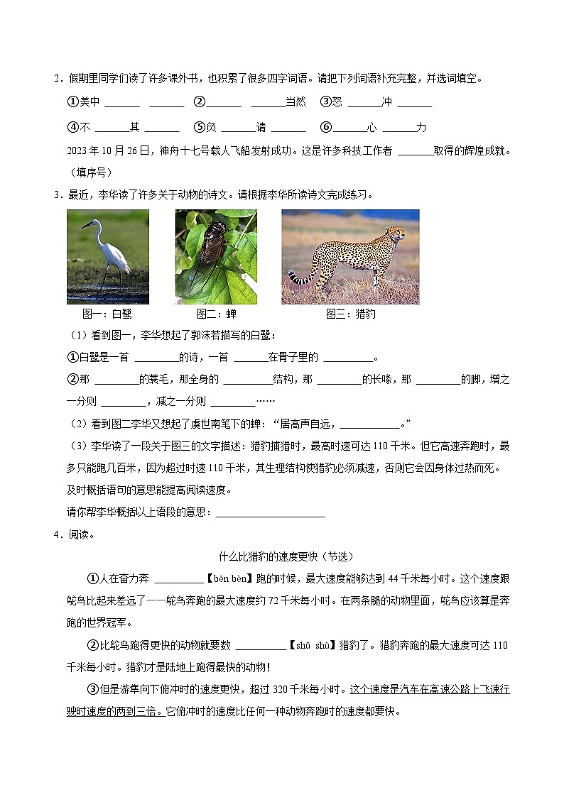 海南省海口市多校2024-2025学年五年级上学期月考语文试卷第2页