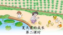 小学语文统编版（2024）六年级上册夏天里的成长集体备课课件ppt