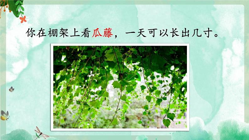 《夏天里的成长》优质课件（第二课时）第6页