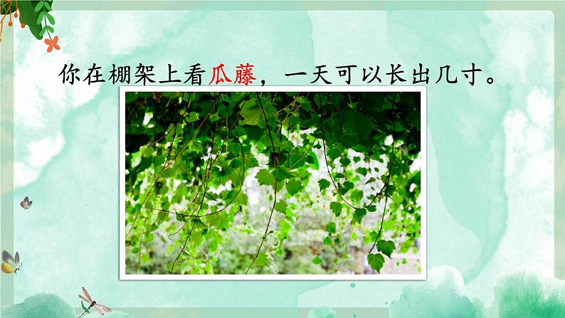 《夏天里的成长》优质课件（第二课时）第7页