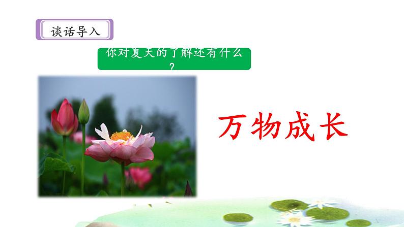 《夏天里的成长》名师课件（第一课时）第3页