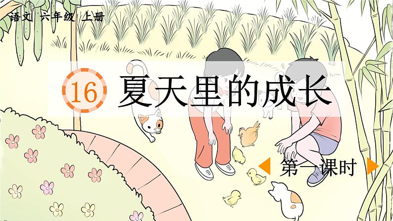 《夏天里的成长》优质课件（第一课时）第1页