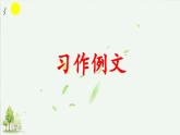 《習(xí)作例文  爸爸的計(jì)劃》精品課件