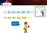 《只有一个地球》名师课件（第二课时）