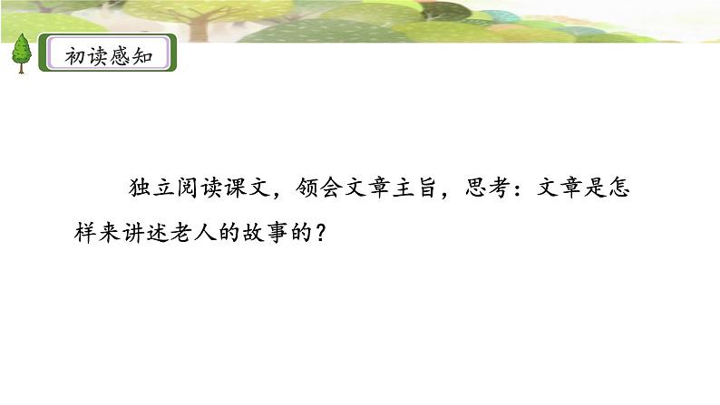 《青山不老》名师课件第4页