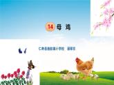 14.《母鸡》第2课时课件