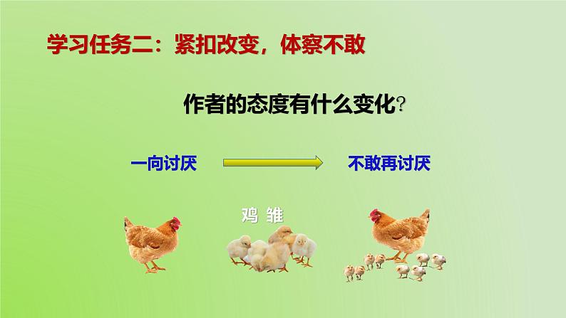 14.《母鸡》第2课时课件第3页