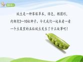 2024-2025部编版语文四年级上册5《一个豆荚里的五粒豆》课时课件