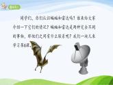 2024-2025部编版语文四年级上册6《夜间飞行的秘密》课时课件