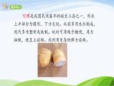 2024-2025部编版语文四年级上册20《陀螺》课时课件