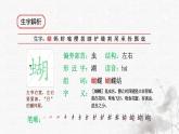 统编版语文五年级下册第1单元2《祖父的园子》课前预习、作业设计、巩固提升，课时练（有答案），生字解析课件，预学案