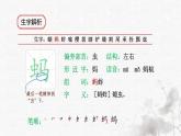 统编版语文五年级下册第1单元2《祖父的园子》课前预习、作业设计、巩固提升，课时练（有答案），生字解析课件，预学案
