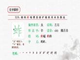 统编版语文五年级下册第1单元2《祖父的园子》课前预习、作业设计、巩固提升，课时练（有答案），生字解析课件，预学案
