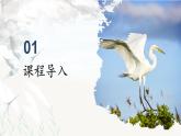 部編版五年級上冊語文第1課《白鷺》課件