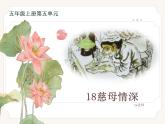 部编版五年级上册语文第18课《慈母情深》课件