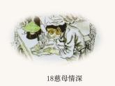 部编版五年级上册语文第18课《慈母情深》课件