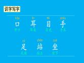 小学语文新部编版一年级上册第一单元第三课《口耳目手足》作业课件（2024秋）
