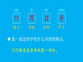 小学语文新部编版一年级上册第一单元第三课《口耳目手足》作业课件（2024秋）