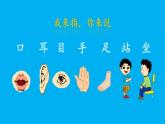 小学语文新部编版一年级上册第一单元第三课《口耳目手足》作业课件（2024秋）