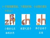 小学语文新部编版一年级上册第三单元第八课《zh ch sh r》作业课件（2024秋）