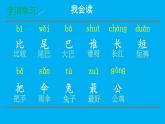 小學(xué)語(yǔ)文新部編版一年級(jí)上冊(cè)第八單元第八課《比尾巴》作業(yè)課件（2024秋）