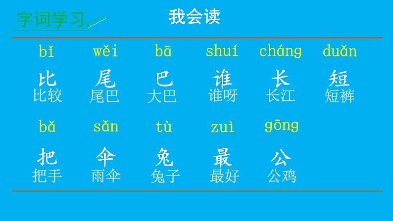 小学语文新部编版一年级上册第八单元第八课《比尾巴》作业课件（2024秋）03