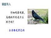 最新统编版语文一年级上册13乌鸦喝水【课件】