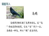 最新统编版语文一年级上册13乌鸦喝水【课件】