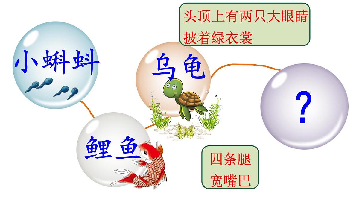 最新2023秋统编版语文二年级上册第一单元第1课小蝌蚪找妈妈第二课时【课件】第2页