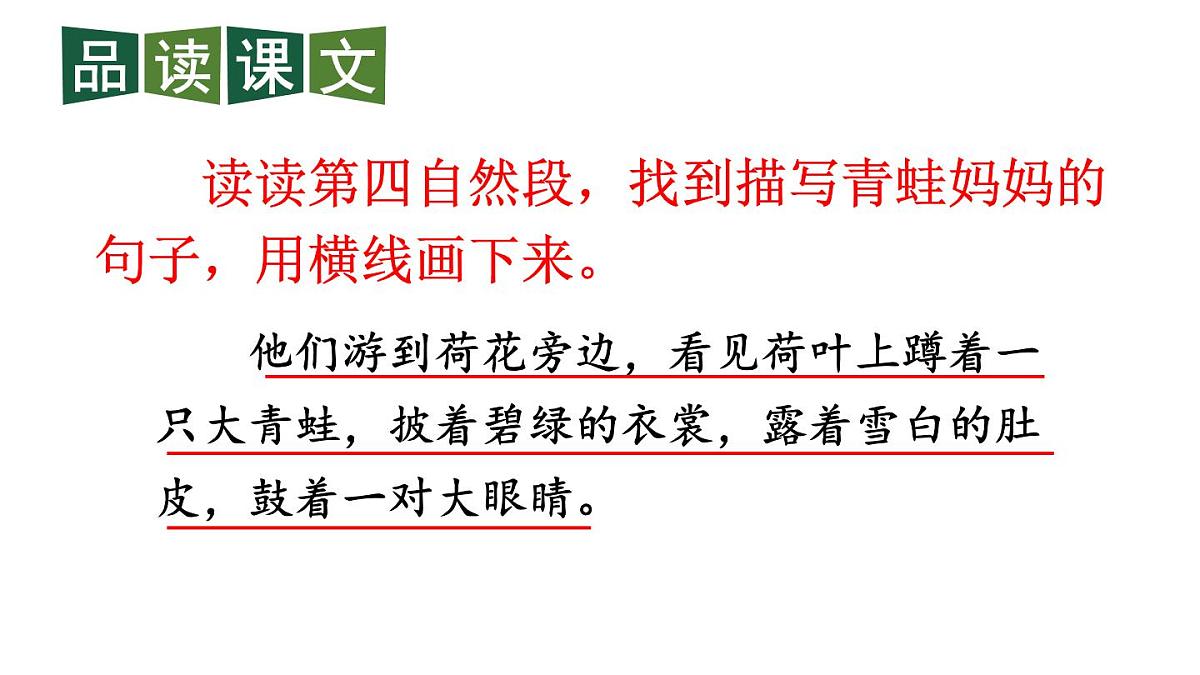 最新2023秋统编版语文二年级上册第一单元第1课小蝌蚪找妈妈第二课时【课件】第3页