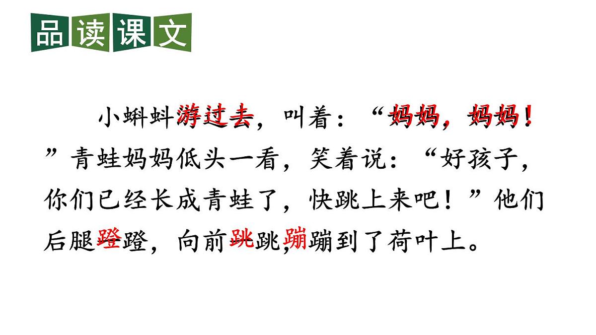 最新2023秋统编版语文二年级上册第一单元第1课小蝌蚪找妈妈第二课时【课件】第7页