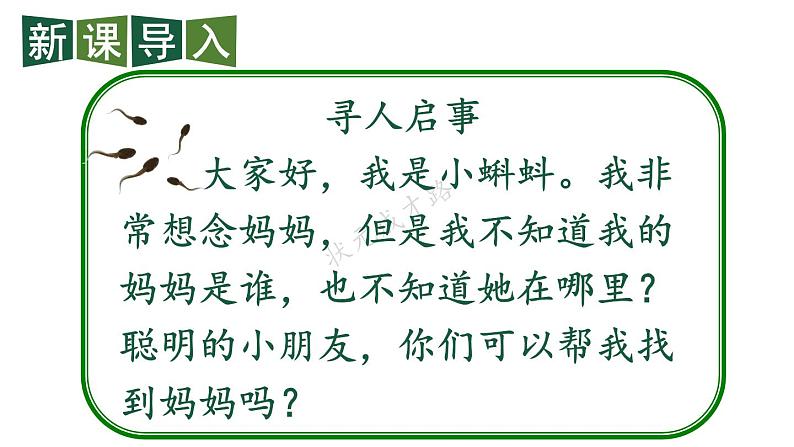 最新2023秋统编版语文二年级上册第一单元第1课小蝌蚪找妈妈第一课时【课件】第2页