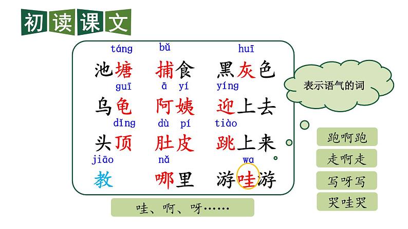 最新2023秋统编版语文二年级上册第一单元第1课小蝌蚪找妈妈第一课时【课件】第7页