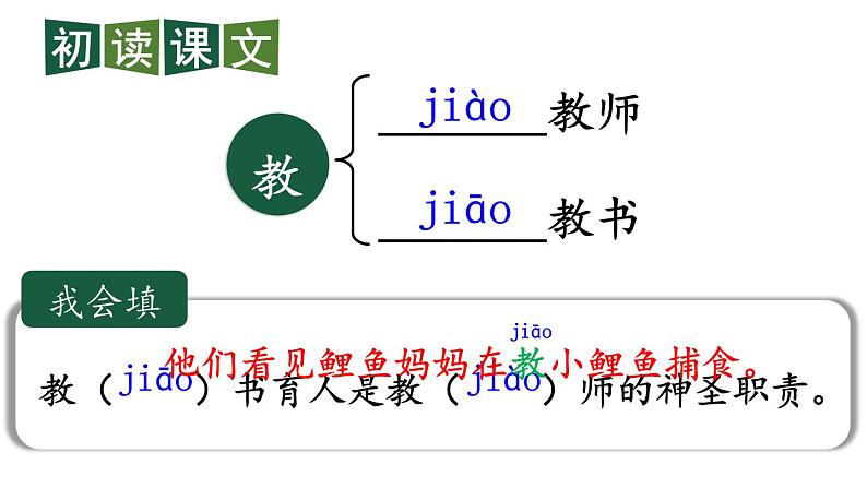 最新2023秋统编版语文二年级上册第一单元第1课小蝌蚪找妈妈第一课时【课件】第8页