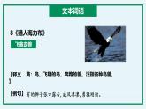 五年级语文上册 第三单元复习 （课件）2024-2025学年第一学期期中期末复习系列（统编版）