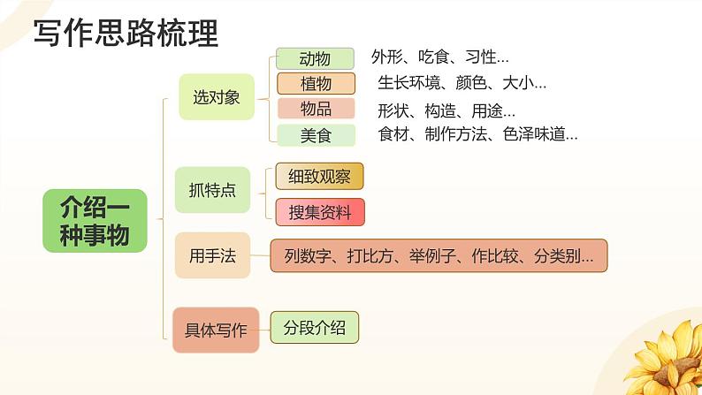 部编版五年级上册语文第5单元习作 《介绍一种事物》课件第7页