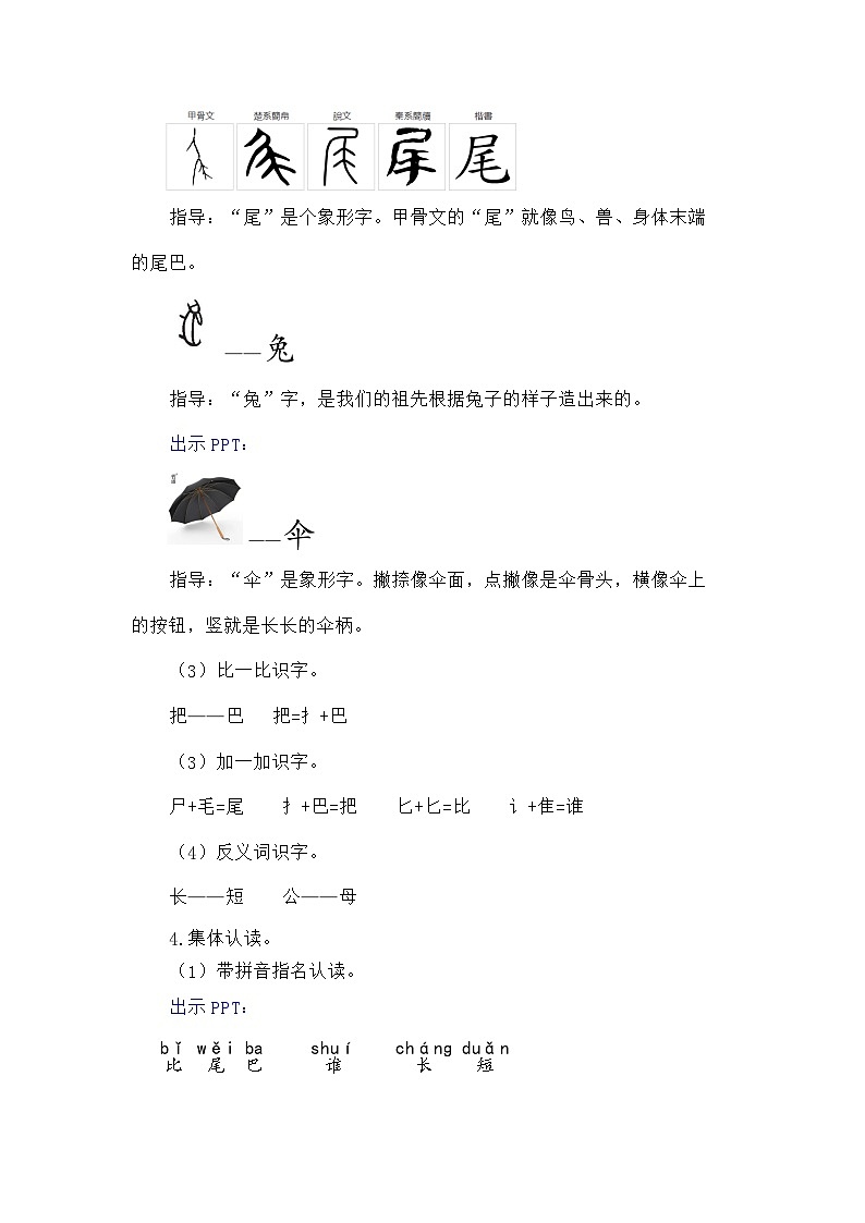 语文统编版（2024）一年级上册阅读8 比尾巴 教案03
