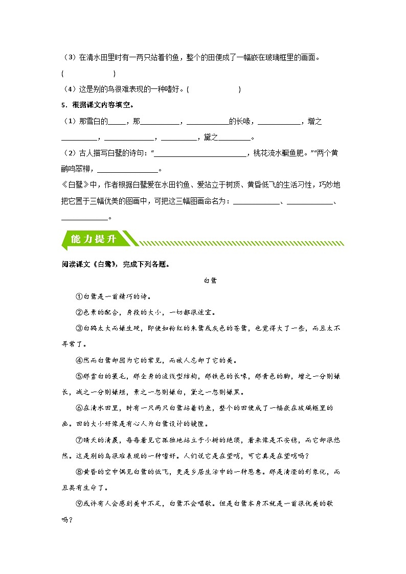 部编版五年级语文上册 【分层作业】1 白鹭（课时练）（附答案）第2页