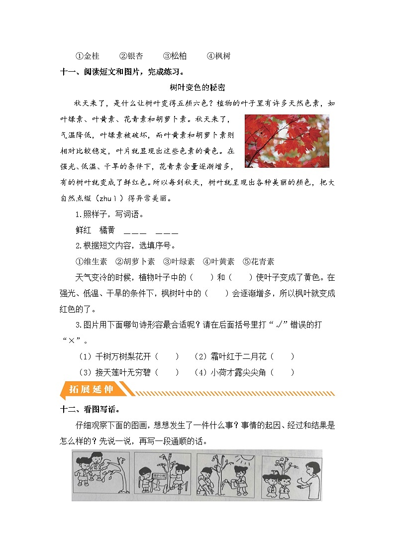 统编版二年级语文上册同步分层作业设计识字2 树之歌（附参考答案）第3页