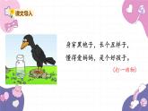 部编版（2024秋）语文一年级上册 9.乌鸦喝水课件