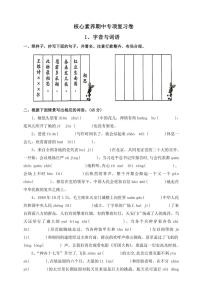 部编版2024～2025学年六年级语文上册核心素养期中专项复习卷1、字音与词语（含答案）