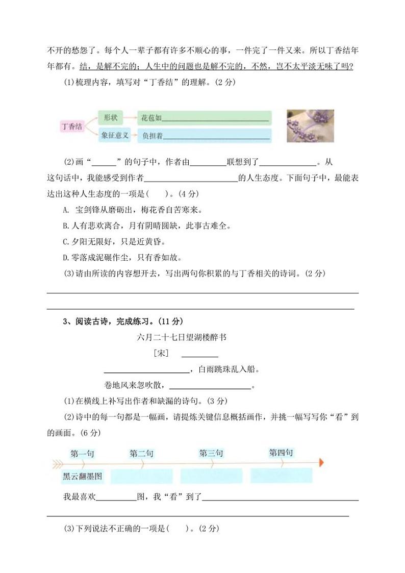 部编版2024～2025学年六年级语文上册核心素养期中专项复习卷7、课内阅读理解（含答案）02