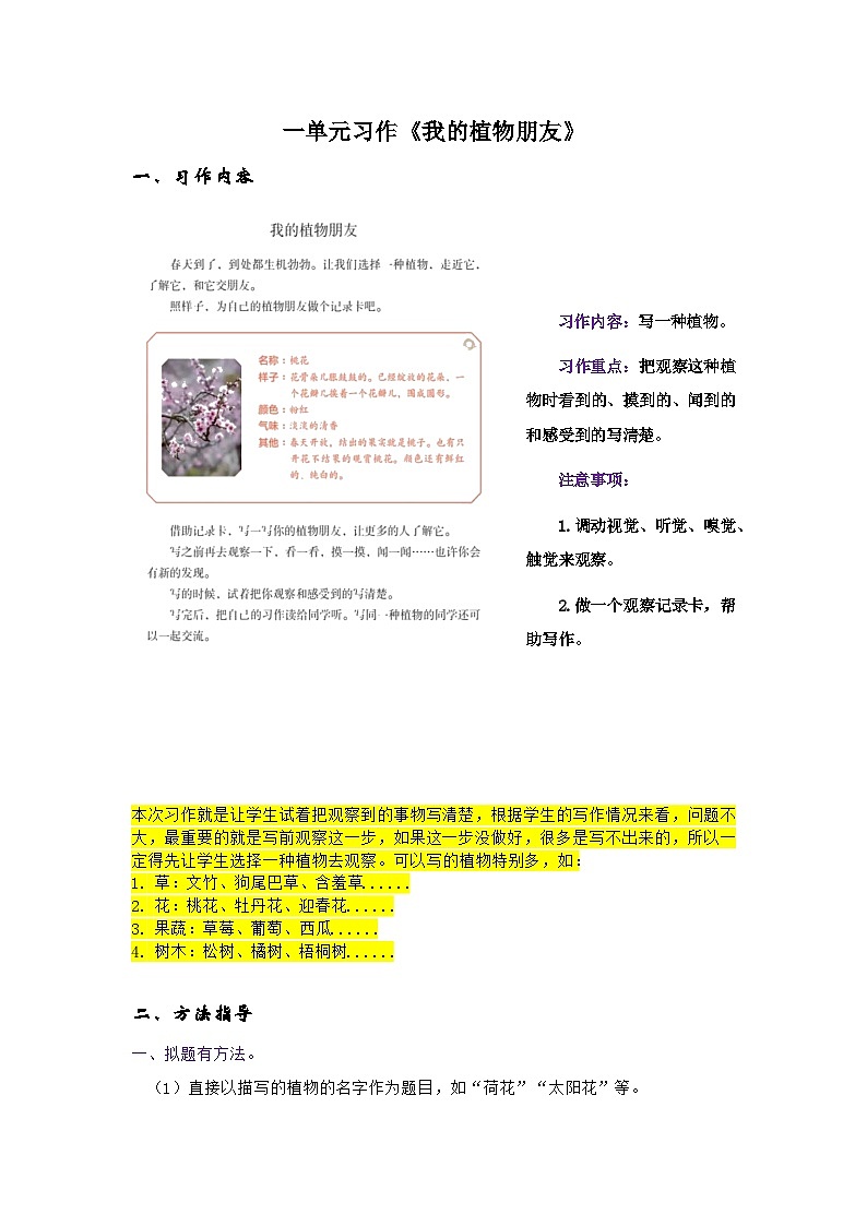 统编版语文三年级下册 习作《我的植物朋友》 讲义01