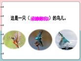 统编版小学语文三年级上册第15课《搭船的鸟》（第二课时）课件