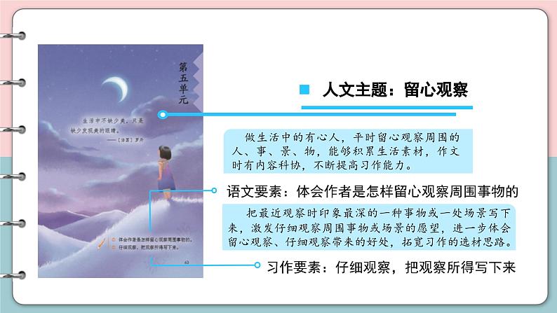 统编版小学语文三年级上册第15课《搭船的鸟》（第一课时）课件第4页