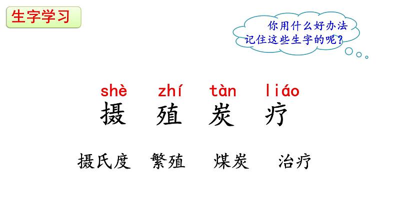 统编版语文五年级上册16《太阳》第一课时课件第4页