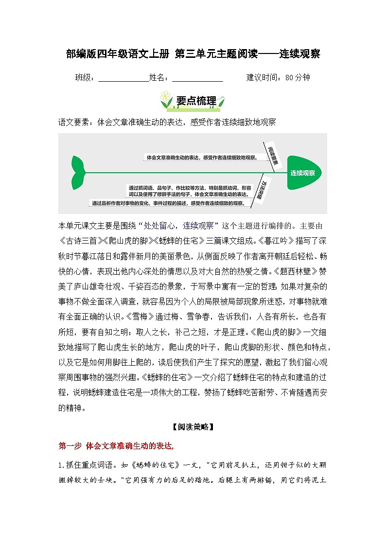 第三单元“连续观察”主题阅读（要点梳理+例文训练）-2024-2025学年四年级上册 统编版01