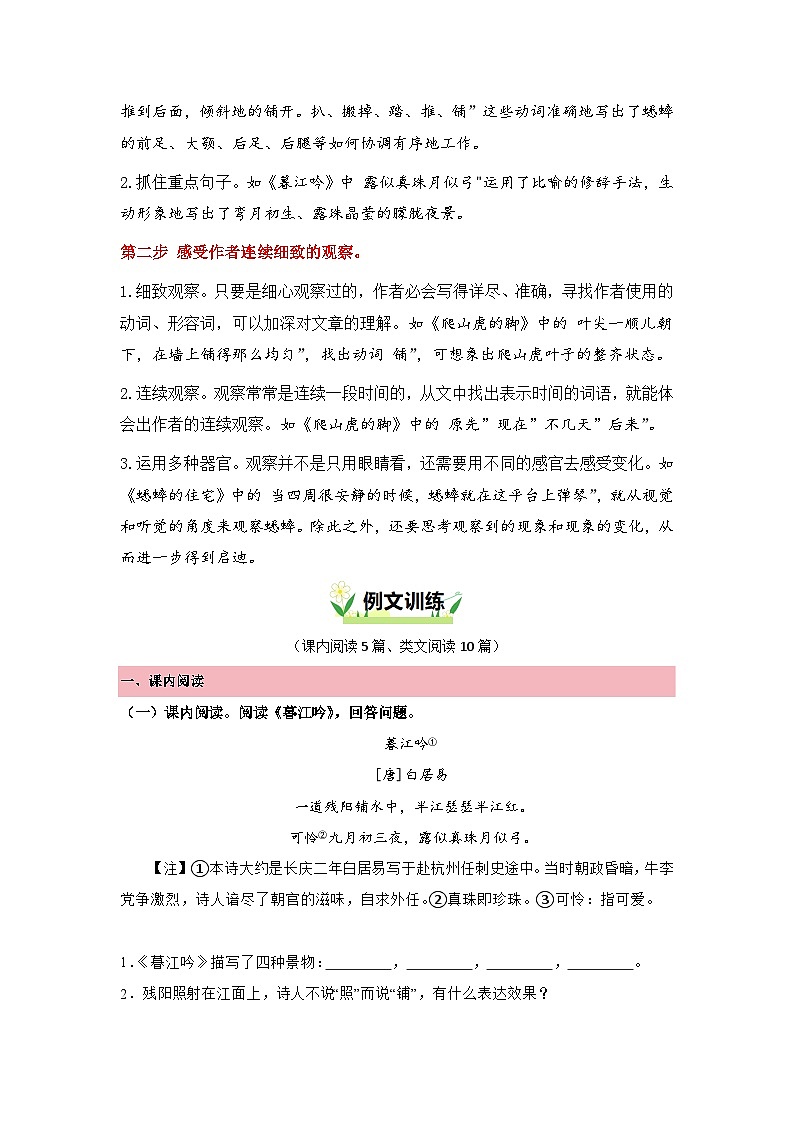 第三单元“连续观察”主题阅读（要点梳理+例文训练）-2024-2025学年四年级上册 统编版02